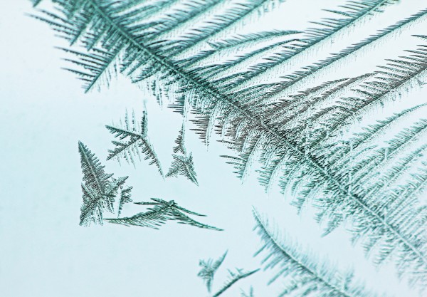 Ice Crystals by Deb Oppermann